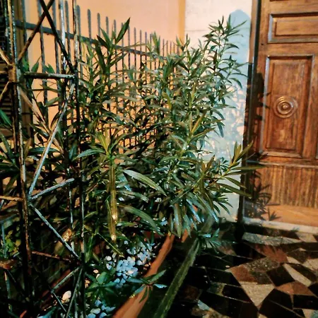 Guest house Le Stanze Di Ginevra - Santa Maria a Vico